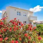 Klanac No 1 자다르